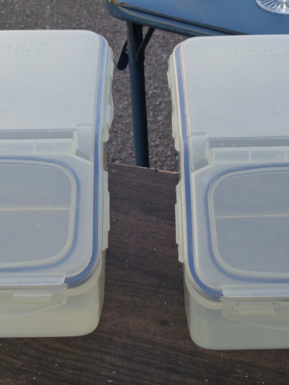 Lock and Lock  50.7 Cup Flip top Food Storage Containers